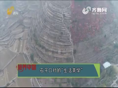20191122《旅养中国》：石子口村的“生活美学”