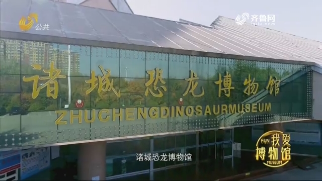 诸城恐龙博物馆——《光阴的故事》我爱博物馆 20191213