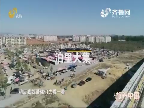 20191220《旅养中国》：青岛——泊里赶大集 美味齐上阵