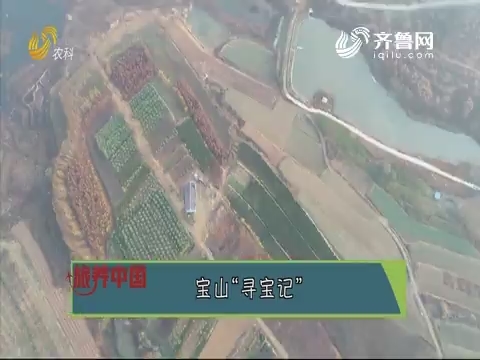 20191227《旅养中国》：青岛——宝山“寻宝记”