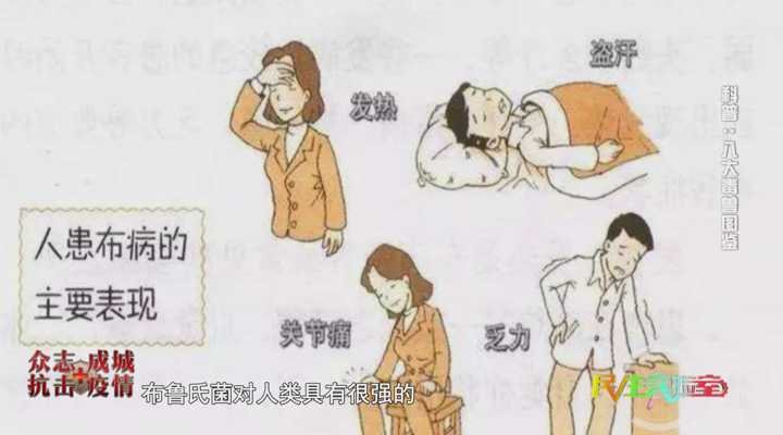 《民生实验室》：八大毒兽图鉴