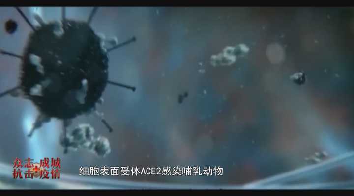 《民生实验室》：候鸟迁徙会携带传播新型冠状病毒，是真的吗？