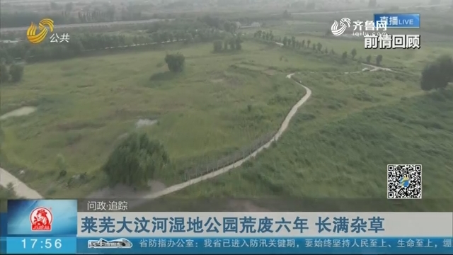 莱芜大汶河湿地公园荒废六年 长满杂草