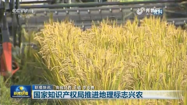【联播快讯】国家知识产权局推进地理标志兴农