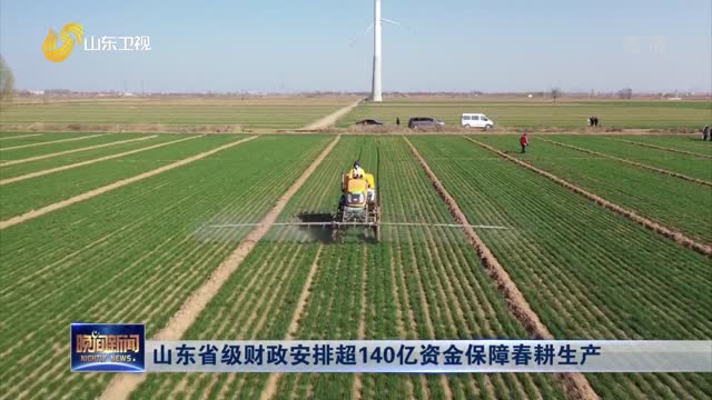 诸城人均收入_诸城恐龙博物馆(3)
