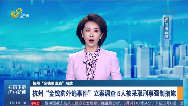 【杭州"金钱豹出逃"后续】杭州"金钱豹外逃事件"立案调查 5人被采取