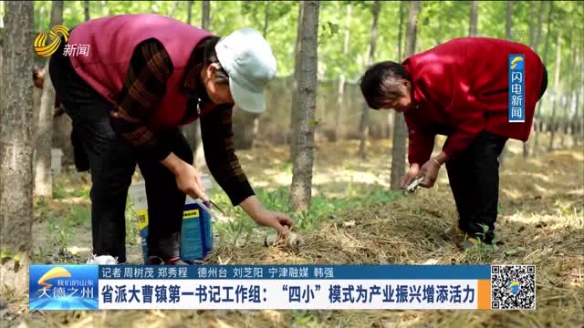 省派大曹镇第一书记工作组：“四小”模式为产业振兴增添活力