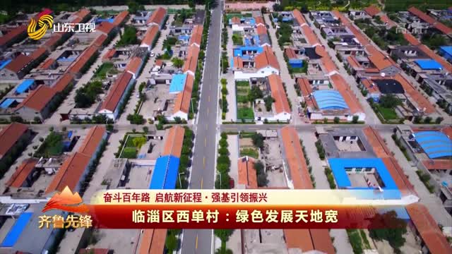 20210517《齐鲁先锋》：临淄区西单村——绿色发展天地宽