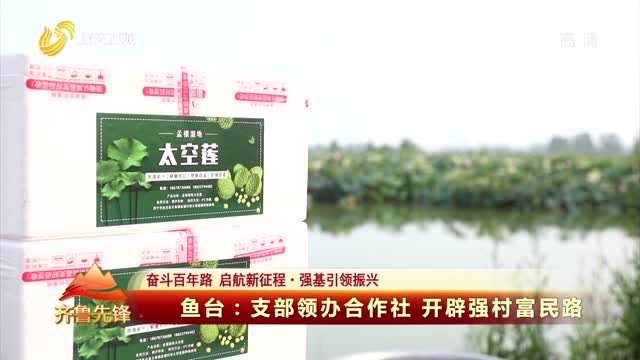 20210519《齐鲁先锋》：鱼台——支部领办合作社 开辟强村富民路