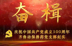 奋楫——齐鲁制药集团动保兽药党支部庆祝中国共产党成立100周年