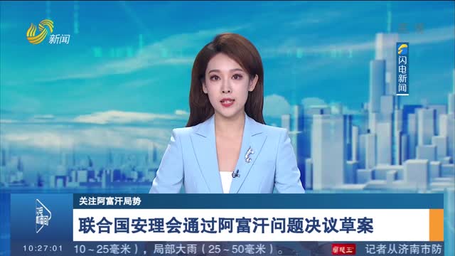 联合国安理会通过阿富汗问题决议草案