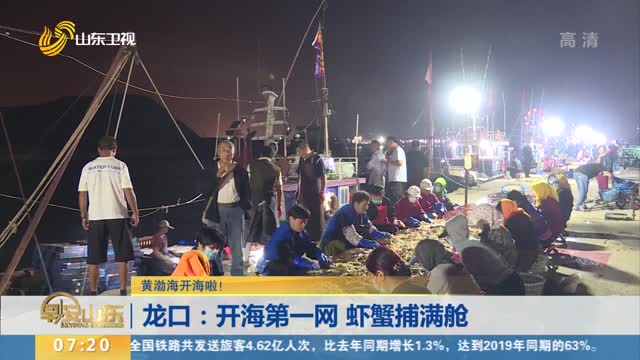 【黄渤海开海啦！】龙口：开海第一网 虾蟹捕满舱