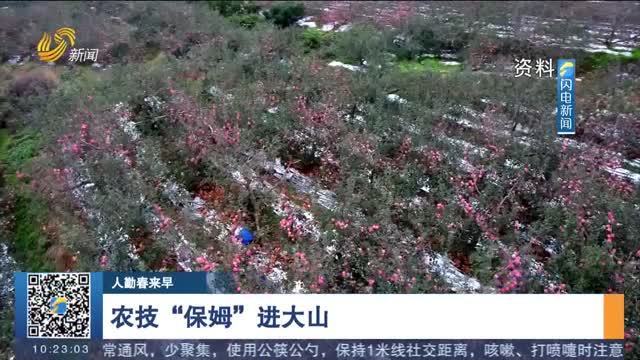 【人勤春来早】 农技“保姆” 进大山