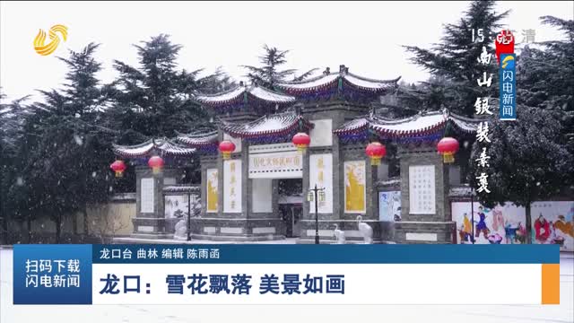 【诗画山东】龙口：雪花飘落 美景如画