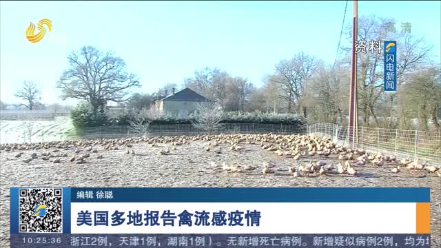 美国多地报告禽流感疫情