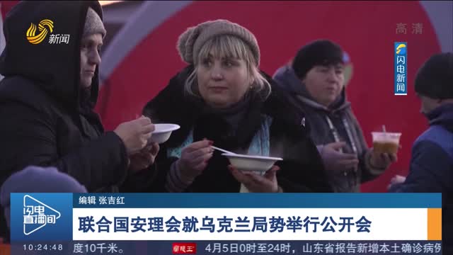 联合国安理会就乌克兰局势举行公开会