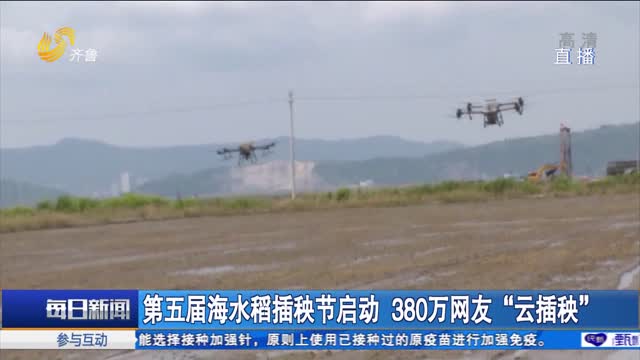 第五届海水稻插秧节启动 380万网友“云插秧”