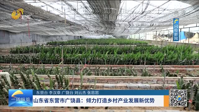 山东省东营市广饶县：倾力打造乡村产业发展新优势
