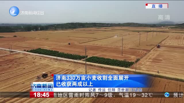 济南330万亩小麦收割全面展开 已收获两成以上