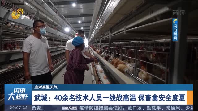 【应对高温天气】武城：40余名技术人员一线战高温 保畜禽安全度夏