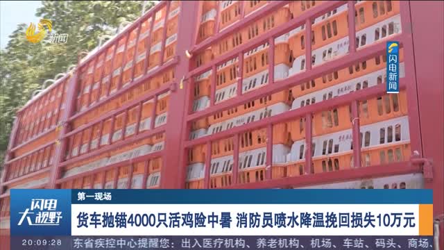 【第一现场】货车抛锚4000只活鸡险中暑 消防员喷水降温挽回损失10万元