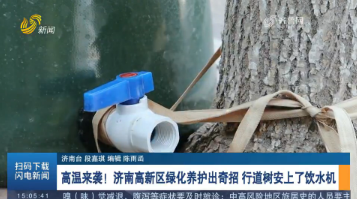 【应对高温天气】高温来袭！济南高新区绿化养护出奇招 行道树安上了饮水机