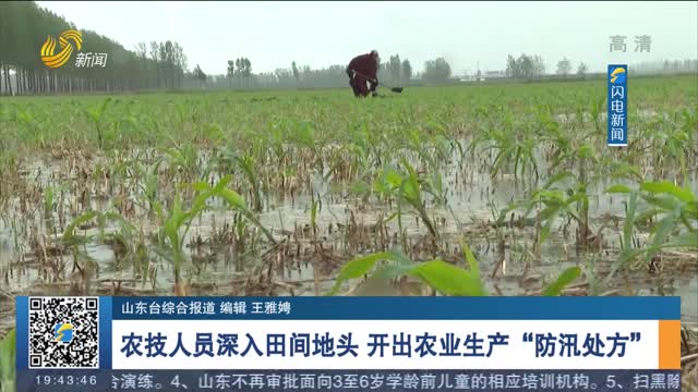 农技人员深入田间地头 开出农业生产“防汛处方”