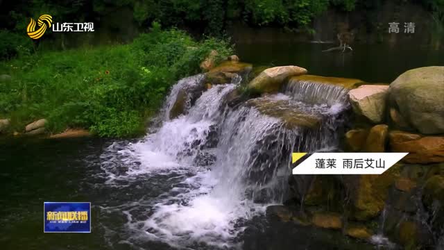 盛夏齐鲁 清丽芬芳【诗画山东】