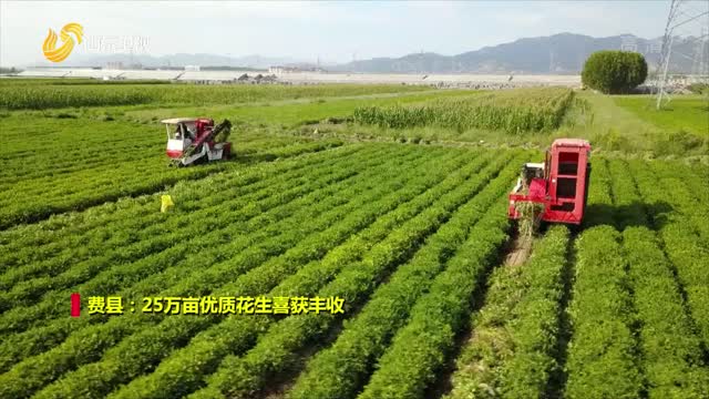 诗画山东：多彩金秋 丰收画卷