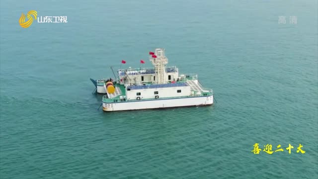 20220928《齐鲁先锋》：威海市环翠区——一条海沟隆起一条产业链