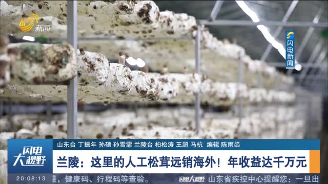 【金秋丰收季】兰陵：这里的人工松茸远销海外！年收益达千万元