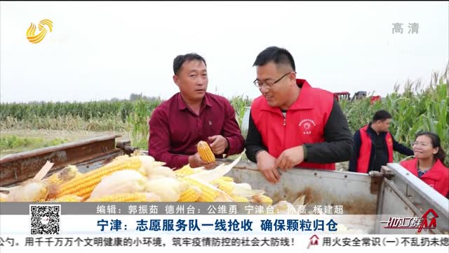 宁津：志愿服务队一线抢收 确保颗粒归仓