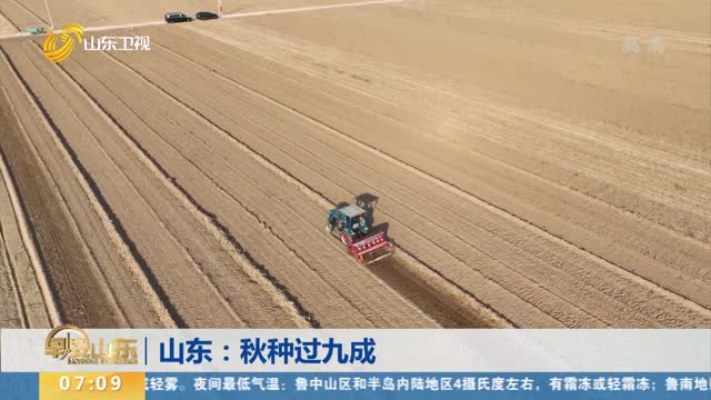 山东：秋种过九成