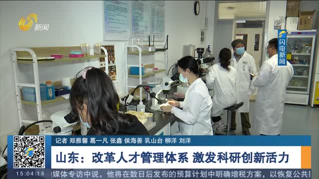 山东：改革人才管理体系 激发科研创新活力