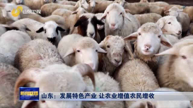 山东：发展特色产业 让农业增值农民增收
