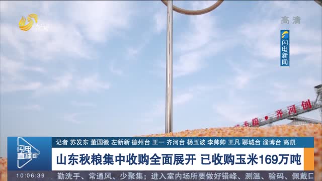 山东秋粮集中收购全面展开 已收购玉米169万吨