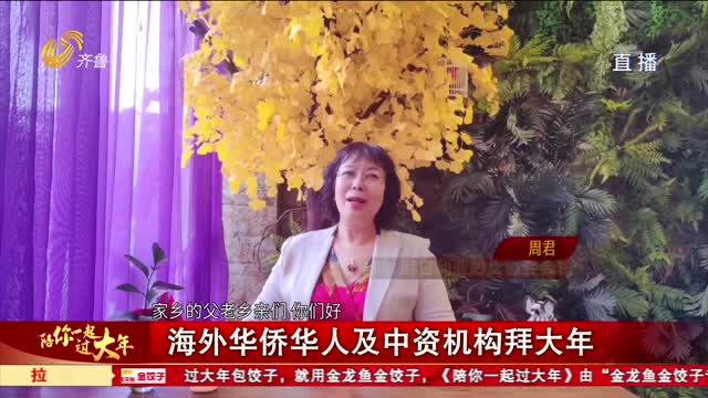 海外华侨华人及中资机构拜大年