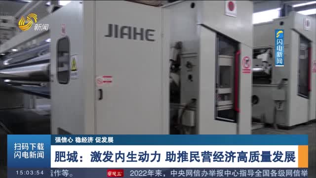 【强信心 稳经济 促发展】肥城：激发内生动力 助推民营经济高质量发展