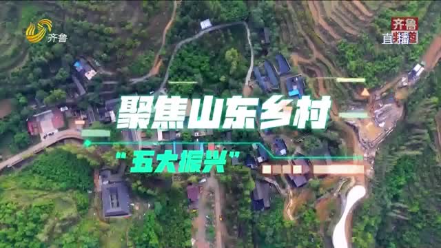 “美丽乡村”遇上赛博朋克
