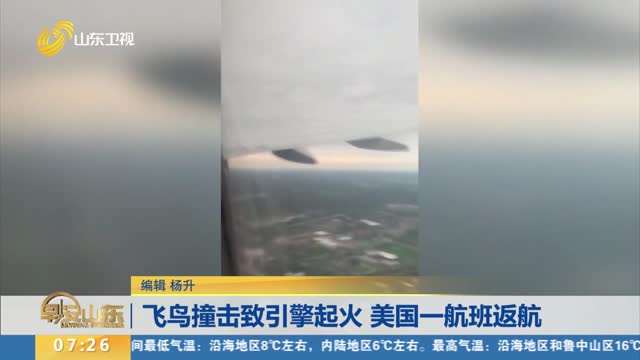 飞鸟撞击致引擎起火 美国一航班返航