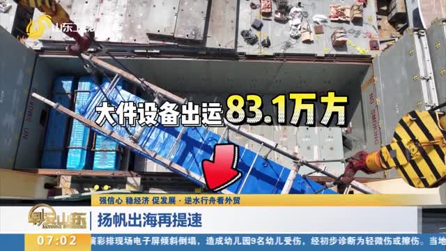 【强信心 稳经济 促发展·逆水行舟看外贸】扬帆出海再提速