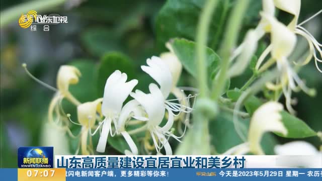 【央媒看山东】山东高质量建设宜居宜业和美乡村