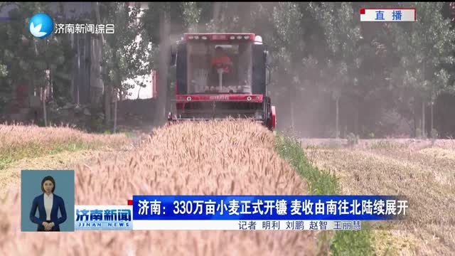 济南：330万亩小麦正式开镰 麦收由南往北陆续展开