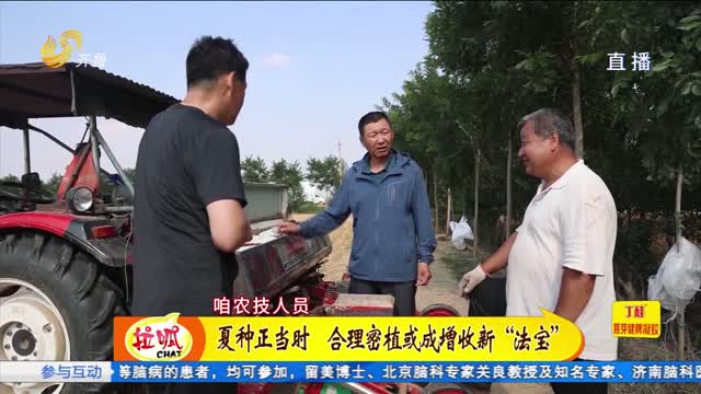 平原：夏种正当时 专家指导科学种植