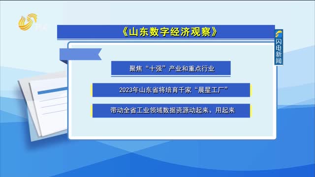 山东数字经济观察