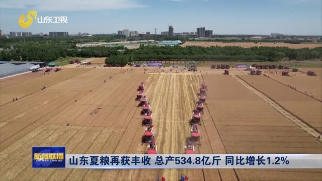 山东夏粮再获丰收 总产534.8亿斤 同比增长1.2%