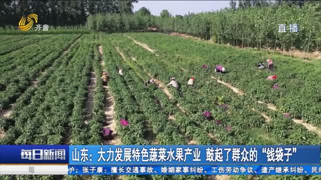 山东：大力发展特色蔬菜水果产业 鼓起了群众的“钱袋子”
