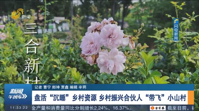 【高质量发展调研行】盘活“沉睡”乡村资源 乡村振兴合伙人“带飞”小山村