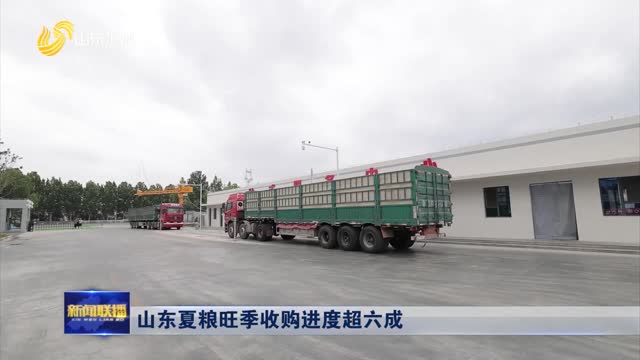 山东夏粮旺季收购进度超六成