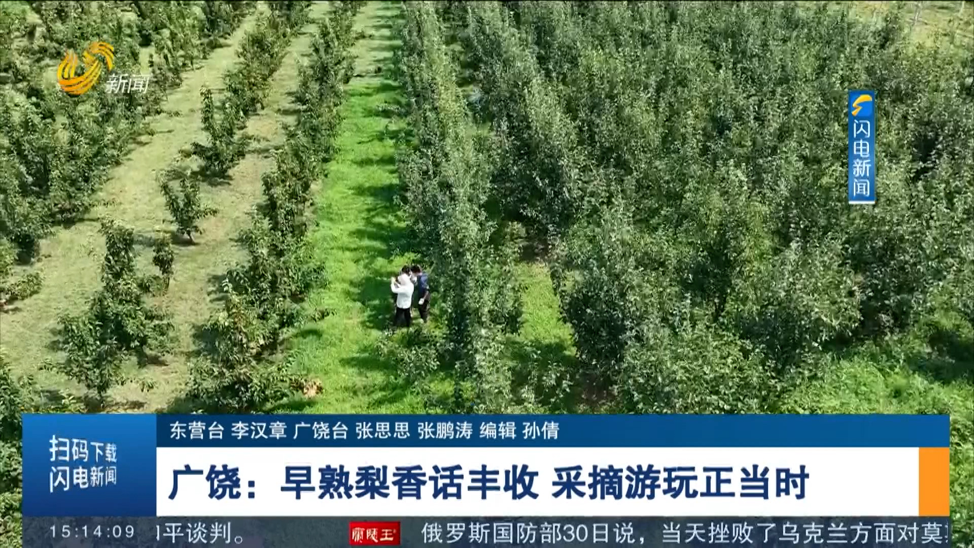 广饶：早熟梨香话丰收 采摘游玩正当时